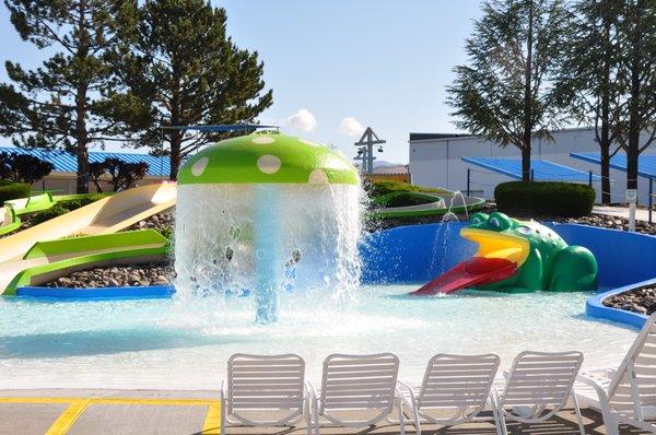 Frog and mushroom at kiddie pool.