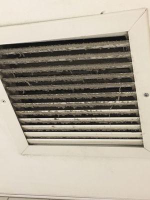 Their lovely vents but remember your health and safety is important. Yet people with Asthma nah they don't care.