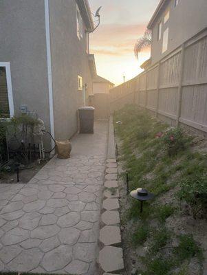 Slope area with roses and ground cover