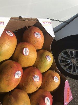 Mango Mania in March! Kent mangoes( 9 for $11) a few months pre season. Let the mango smoothie and ice cream sessions begin...