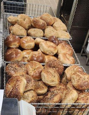 Freshly baked bagels