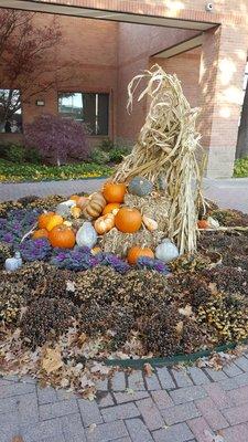 Fall display in front of the Health Zone entrance. Roark landscaping manages the grounds. They do a great job.