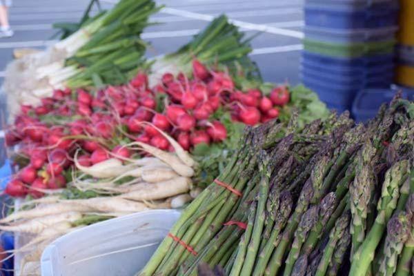 Looking for fresh vegetables and fruits? Stop by at the Maple Grove Farmers Market for a large selection of strawberries, blu...