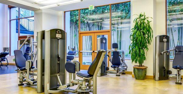 Fully equipped fitness center with a full-service range of strength machines, Life Fitness Treadmills and more