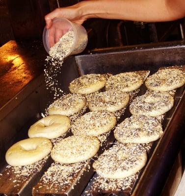 We seed both sides...doesn't everyone?  Wholy Bagel - best bagels in Austin. One of the best bagel shops in America.