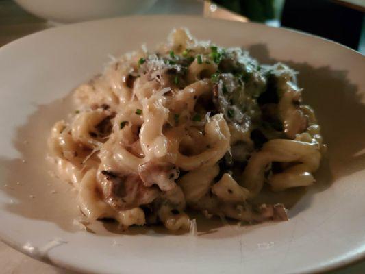 Decadent wild mushroom pasta