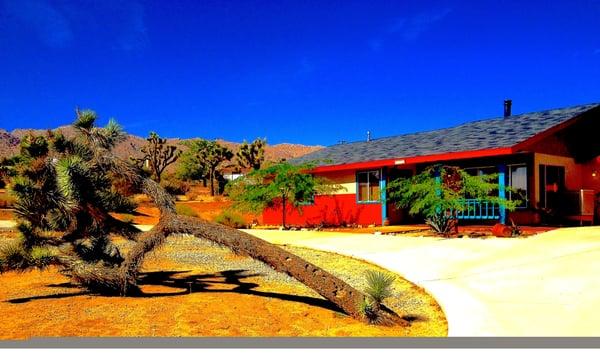 Saddleback Oasis Vacation Rental