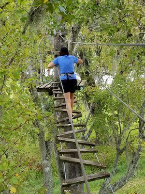 wobbly ladder obstacle.