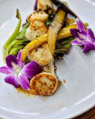 Scallops Entree