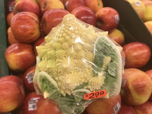 Amazing looking Romanesco veggie