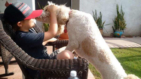 Grandson and Gracie saying hello in the Valley of the Sun