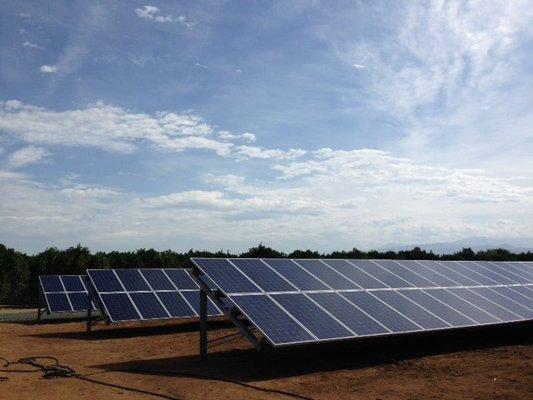 Solar Farm Cleaning