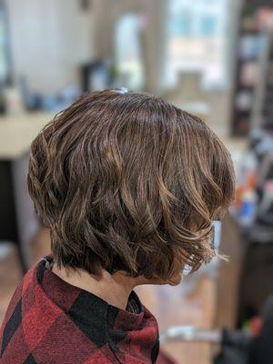 Color Retouch with trim, blowdry and style