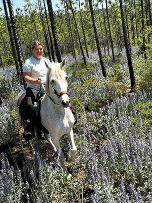 Spring in the Panhandle on horse is so beautiful!