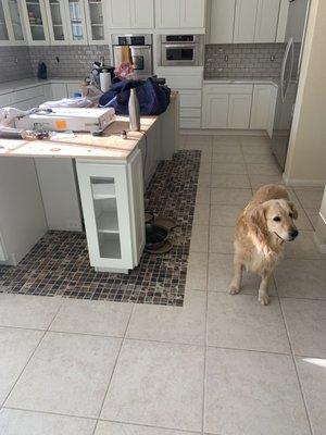 Dog approved tile