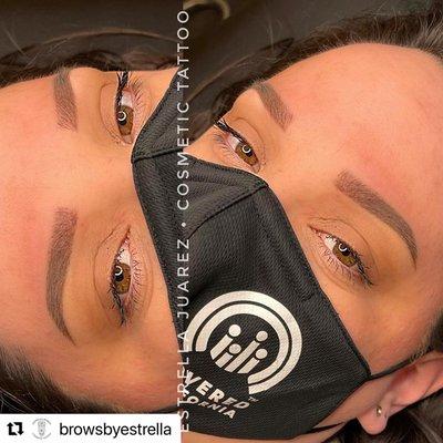 Ombré Powder Brows Done by Estrella