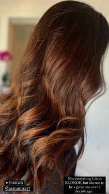 Studio 1221 Reno hair salon/ Color specialist 
Create more than great color