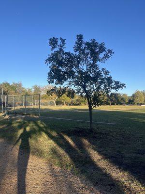 baseball field