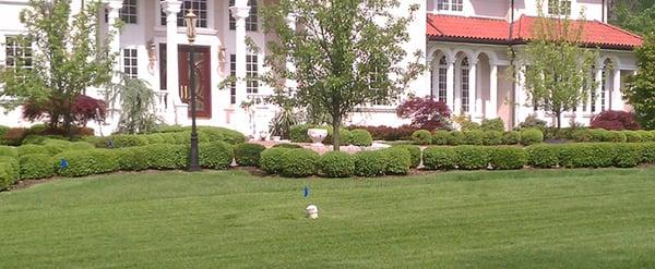 Lawn, Dom Chiola Landscaping Corp. in Fairview, NJ