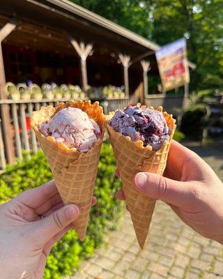 Strawberry and Blueberry Crumb ice creams