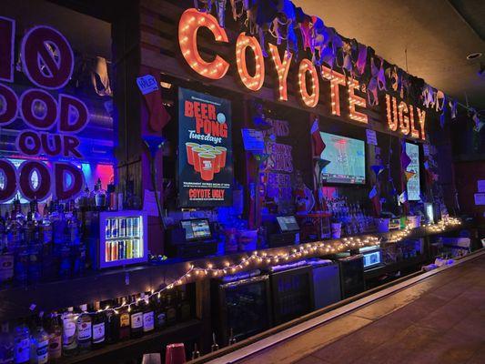 Coyote Ugly Saloon