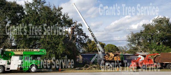 Grant's Tree Service