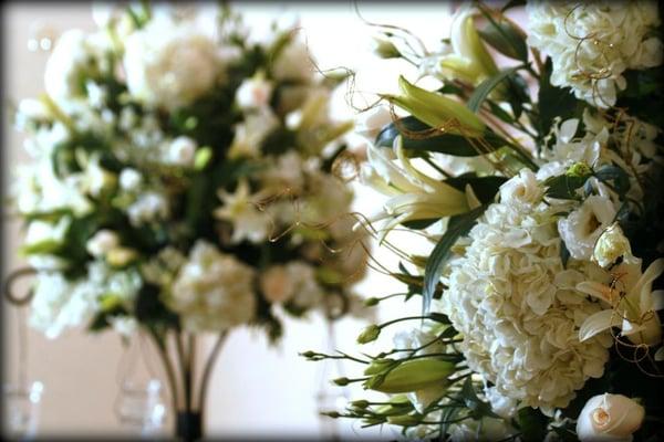 Peony Events Wedding at the Sheraton in Parsippany, NJ