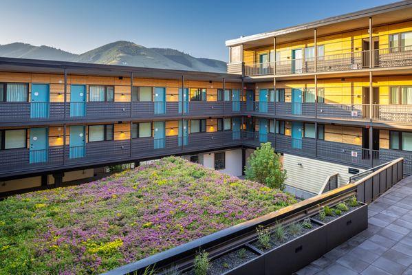 Exterior Courtyard with living roof and mountain views