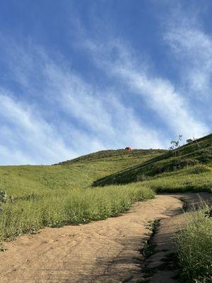 Trail to the pumpkin .