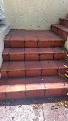 Residential stairs pre power wash.

San Francisco Bay Area