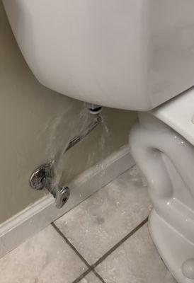 A burst toilet line can wreak havoc on your home.