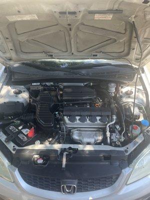 Cleaned engine bay every time