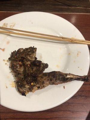 Quail (鹌鹑)