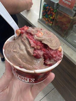 Silk Chocolate Almond Milk Ice Cream with raspberries and almonds