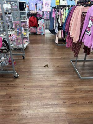 Dog or Human poop pile in kids section. gross