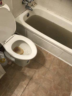 Toilet and tub backing up