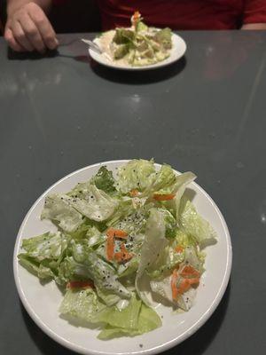 Side salad, lettuce carrots and watery dressing