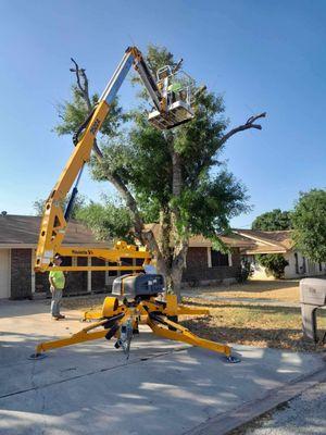 Large equipment is required for this tree removal.