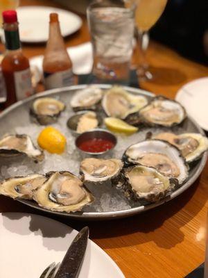 Oysters on the half shell