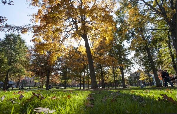 The beautiful Oak Grove in the fall