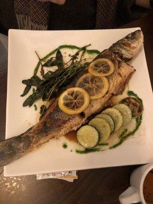 Bronzino Fish