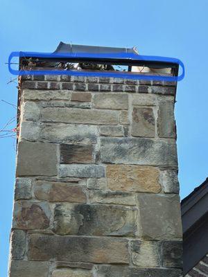 Squirrel Removal: Squirrel Nest Found in Chimney Cap!