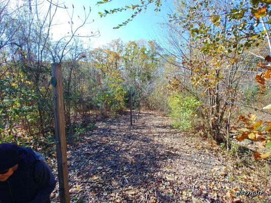 Trail in Dodge Park, Worcester