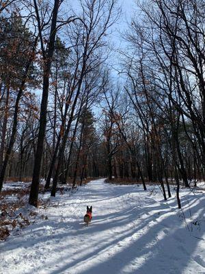 Bay City State Recreation Area