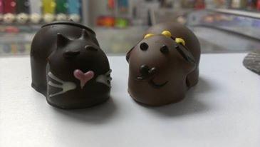 chocolate cats & dogs