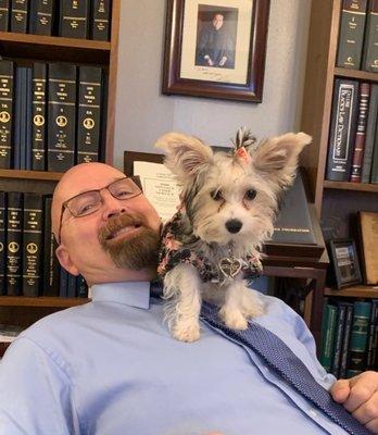 Gracie loves to help Mr. Monroe do his paperwork!  There is always TONS of paperwork to do!