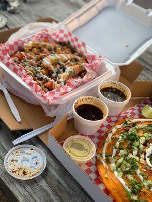 Carne asada fries & Birria Pizza