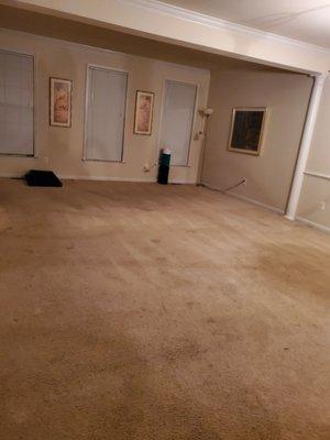 Before (3YRS ONLY VACUUMING) NEVER TREATED