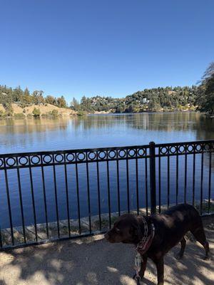 Lake Gregory Regional Park