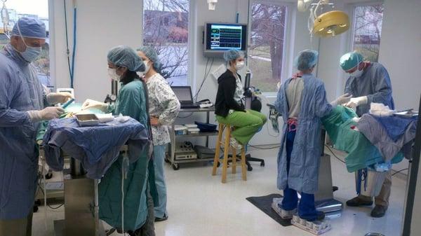 Big day-Dr. Barbour and Dr. Ruppert doing surgery!